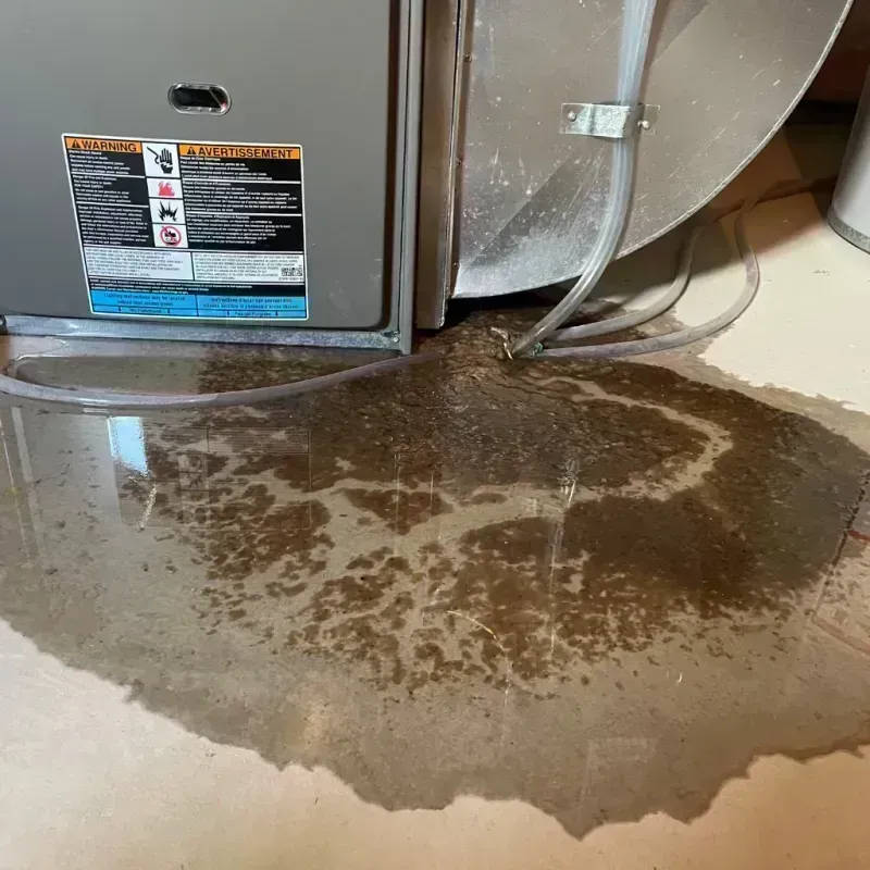 Appliance Leak Cleanup in Estancia, NM